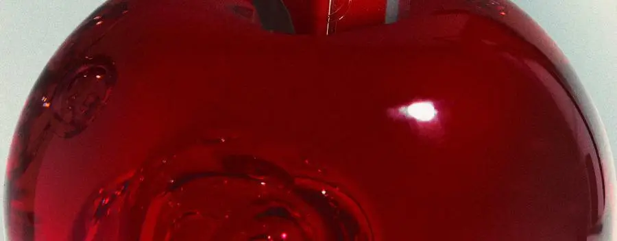 [NEW/미니치크증정] 딘토 미러리스 립글로스 10종 (단품/기획) 상세페이지 5